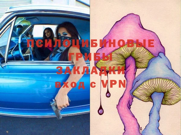 амф Вязьма