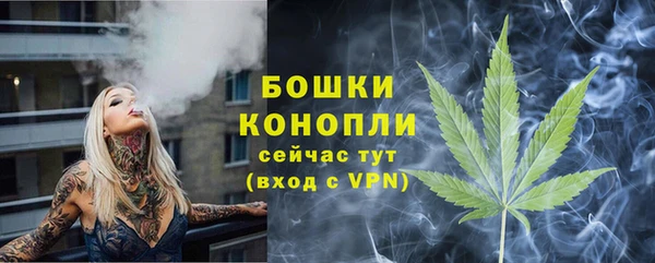 амф Вязьма