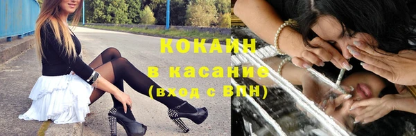 прущие грибы Волоколамск