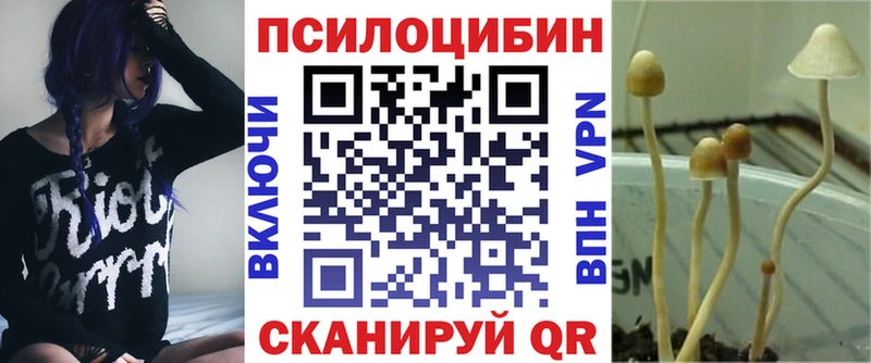 Псилоцибиновые грибы Psilocybe  Нефтекамск 