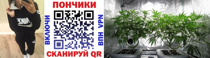хочу наркоту  Нефтекамск  Конопля план 